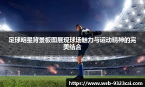 F1收官战维斯塔潘夺杆 车手总冠军今晚揭晓